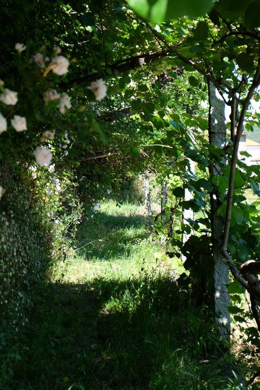 Alvores Do Tempo - Quinta De Turismo Rural Guest House Castro Daire Luaran gambar