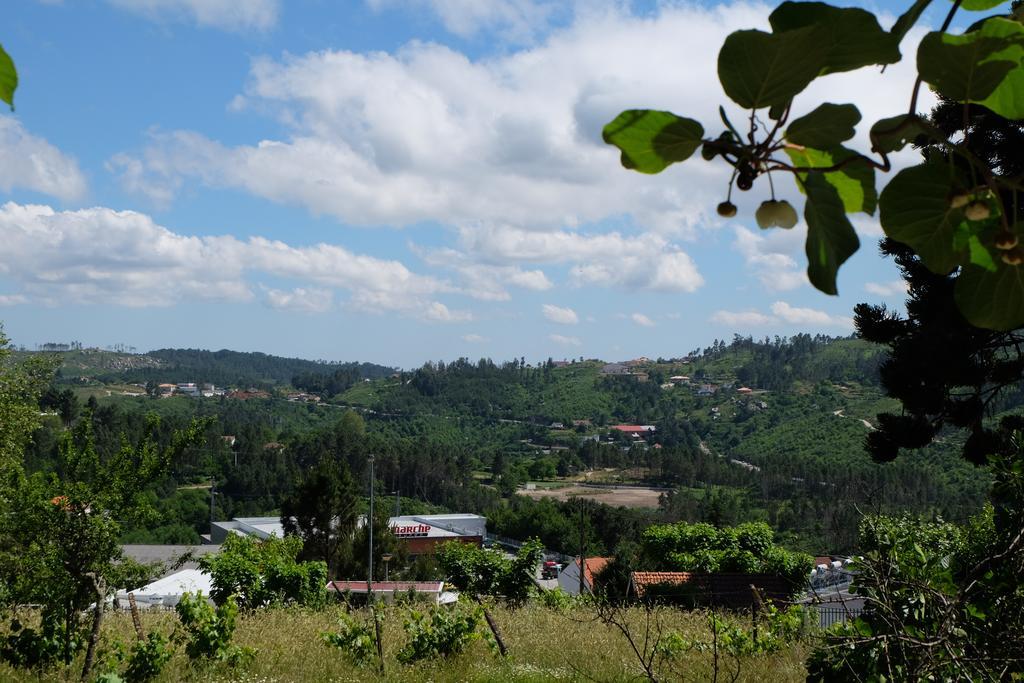 Alvores Do Tempo - Quinta De Turismo Rural Guest House Castro Daire Luaran gambar